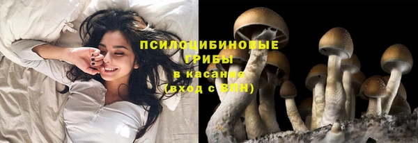 jwh Армянск