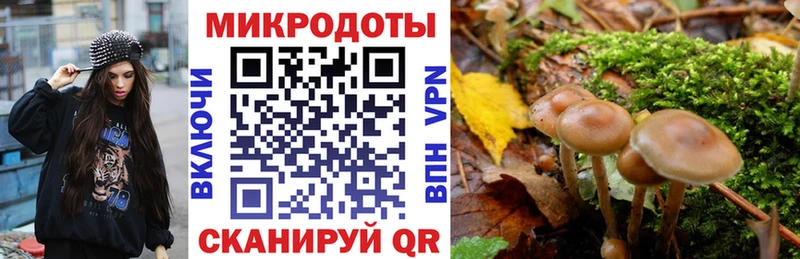 даркнет Telegram  hydra маркетплейс  Рудня  Псилоцибиновые грибы мухоморы 